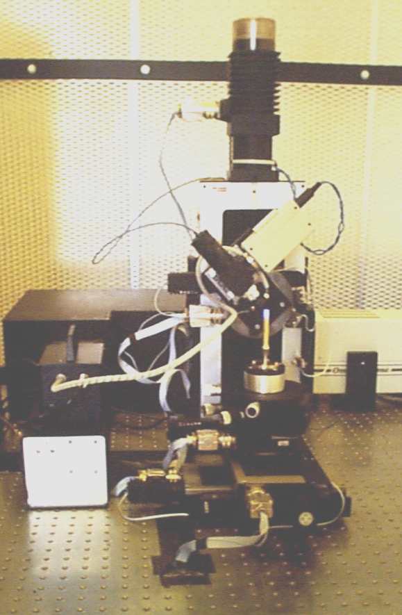 3d_setup.jpg - 43161 Bytes